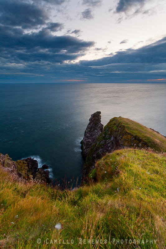 The grassy cliffs at St Abbs Head Nature Reserve at dawn